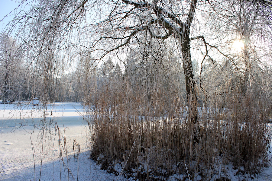 Wortkonfetti-Blog-Bremen-Winter-Buergerpark-06